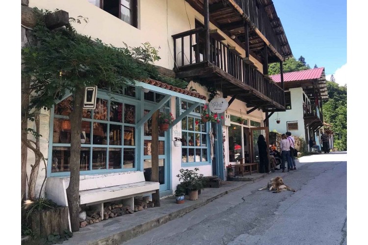 Ayder Yaylası – Karadeniz Günübirlik Turu