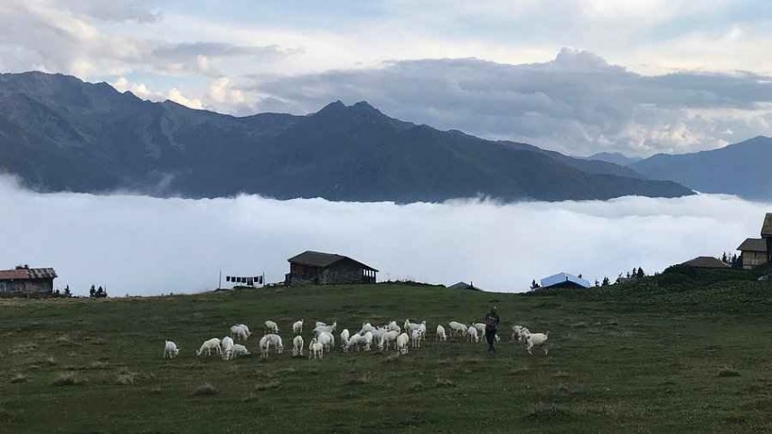 Double Huser Pokut Yaylası manzarası