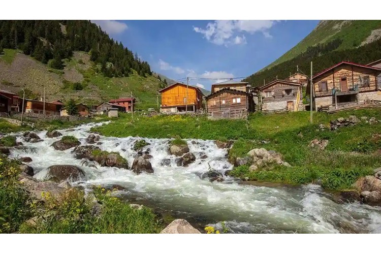 Ayder ve Elevit Yaylası Karadeniz doğası, yayla manzarası, ahşap evler ve sisli dağlar