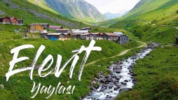 Elevit Yayla Turu