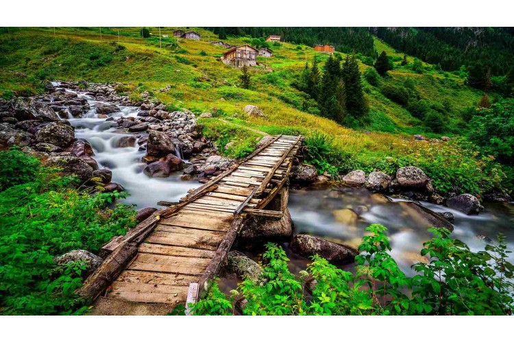Ayder ve Elevit Yaylası Karadeniz doğası, yayla manzarası, ahşap evler ve sisli dağlar