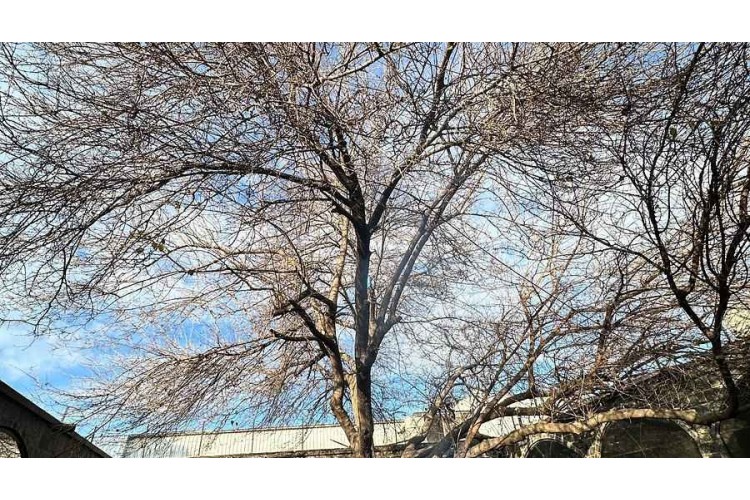 Konaklamalı ve Otobüslü GAP Turu