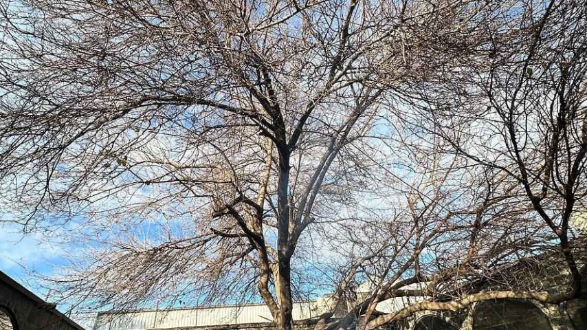 Konaklamalı ve Otobüslü GAP Turu