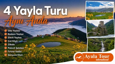 4 Yayla Aynı Anda Turu