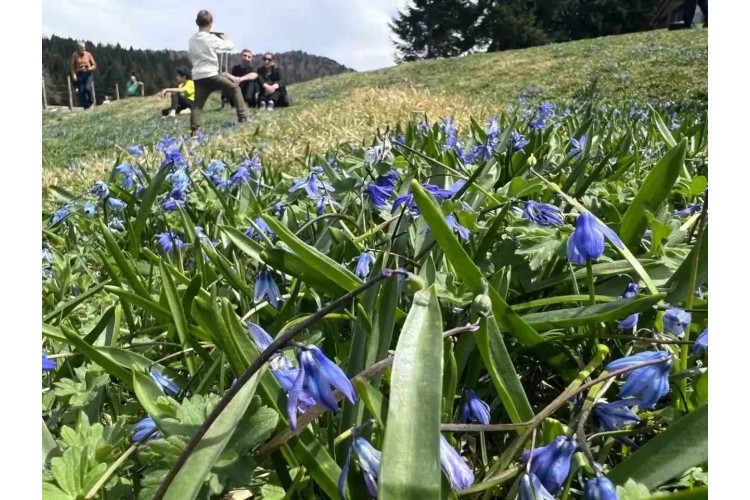 Kadıralak Yaylası Mor Yayla Turu