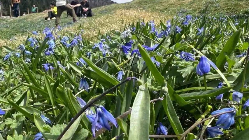 Kadıralak Yaylası Mor Yayla Turu