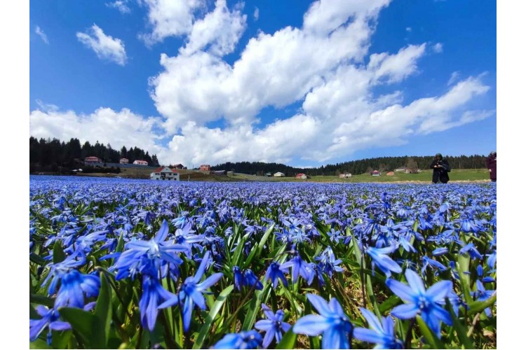Kadıralak Yaylası Mor Yayla Turu