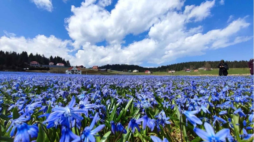 Kadıralak Yaylası Mor Yayla Turu