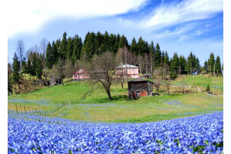Kadıralak Yaylası Mor Yayla Turu