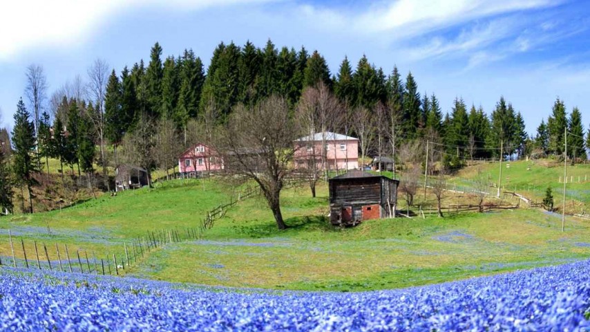 Kadıralak Yaylası Mor Yayla Turu