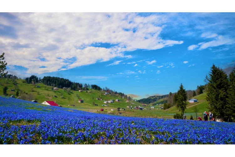 Kadıralak Yaylası Mor Yayla Turu