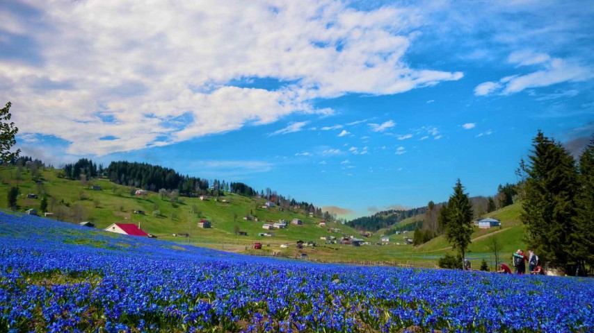 Kadıralak Yaylası Mor Yayla Turu