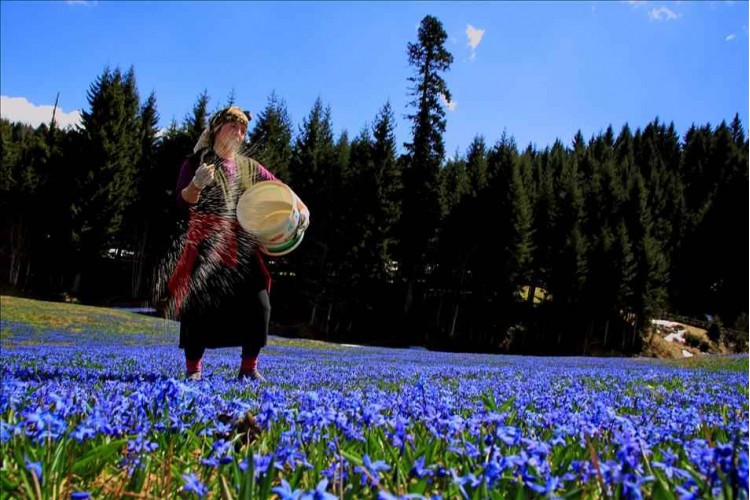 Kadıralak Yaylası Mor Yayla Turu