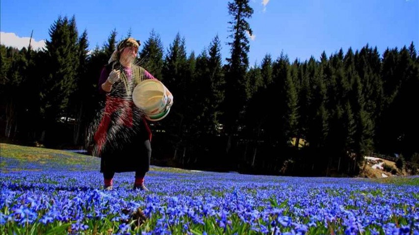 Kadıralak Yaylası Mor Yayla Turu