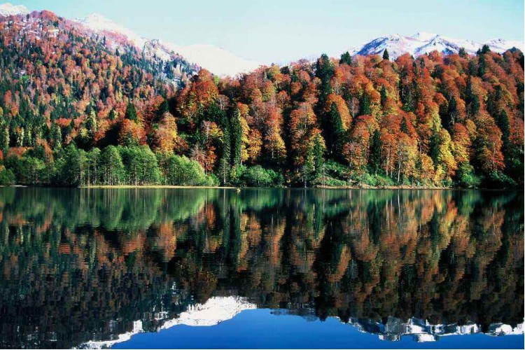 Borçka Karagöl Tabiat Parkı