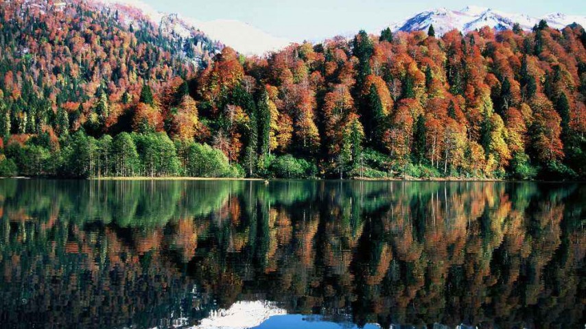 Borçka Karagöl Tabiat Parkı