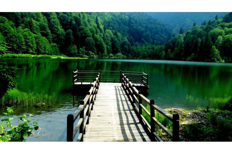 Borçka Karagöl Tabiat Parkı