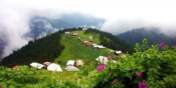 Pokut ve Sal Yaylası Turu