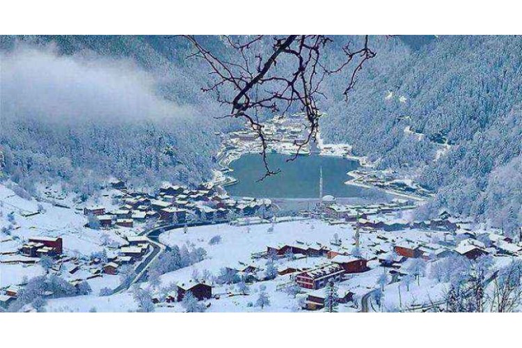 1. Uzungöl Kış Festivali