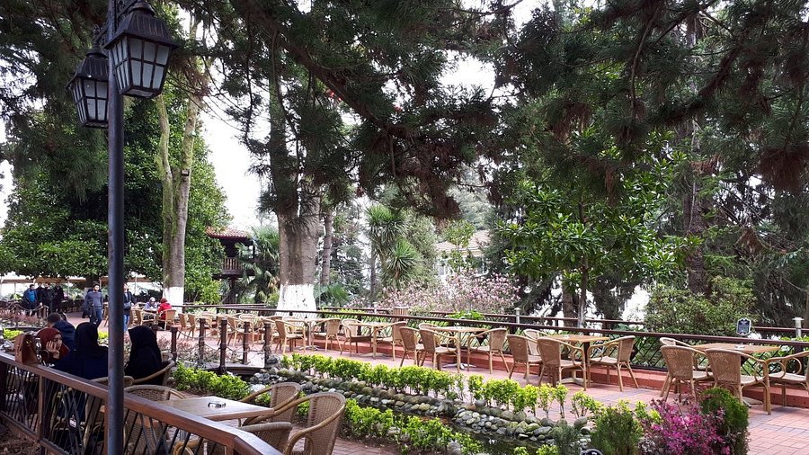 Ziraat Botanik Çay Bahçesi ve Ayder Yaylası Turu - Rize Çay Bahçesi Manzarası