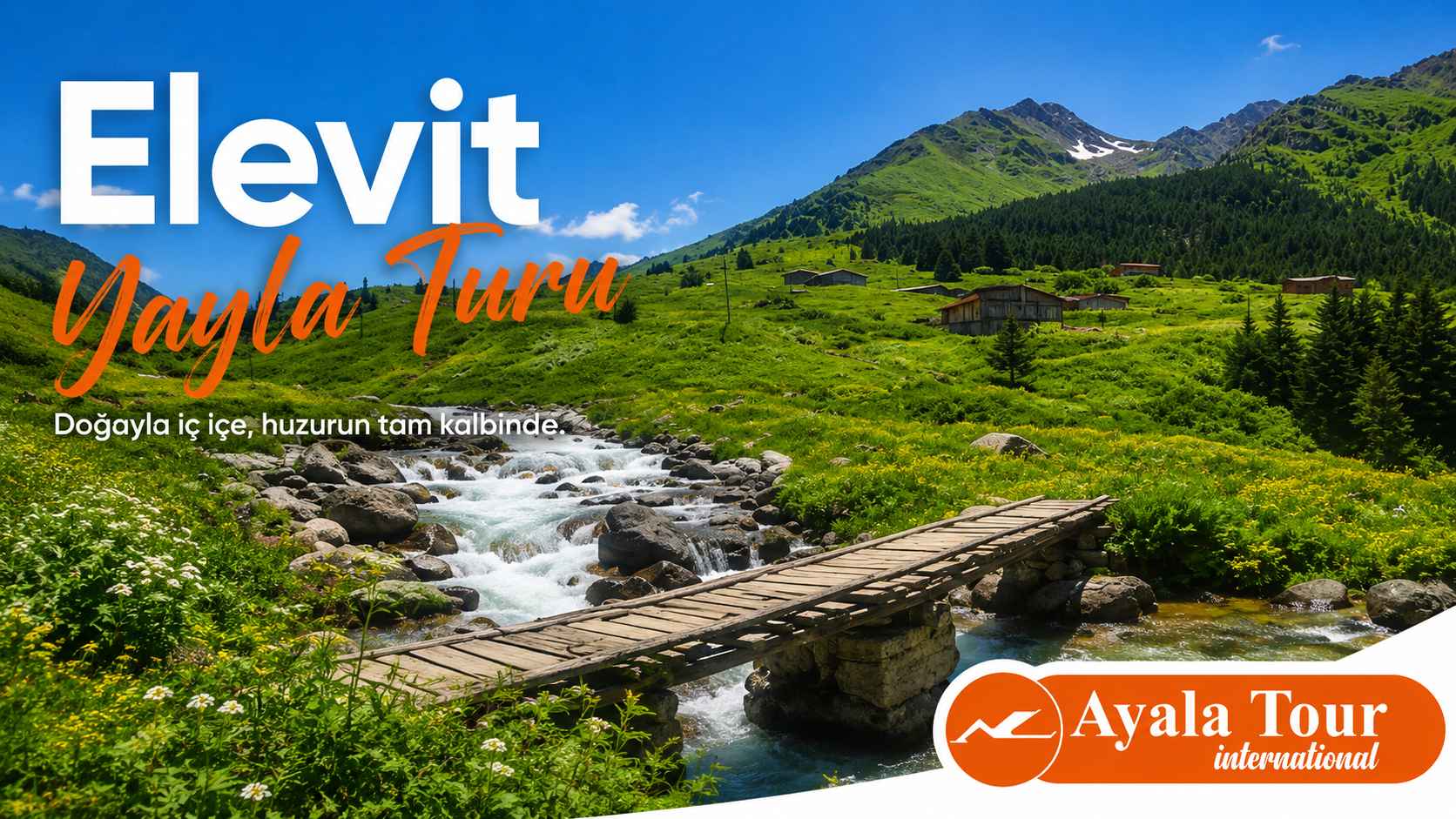 Elevit ve Ayder Yayla Turu