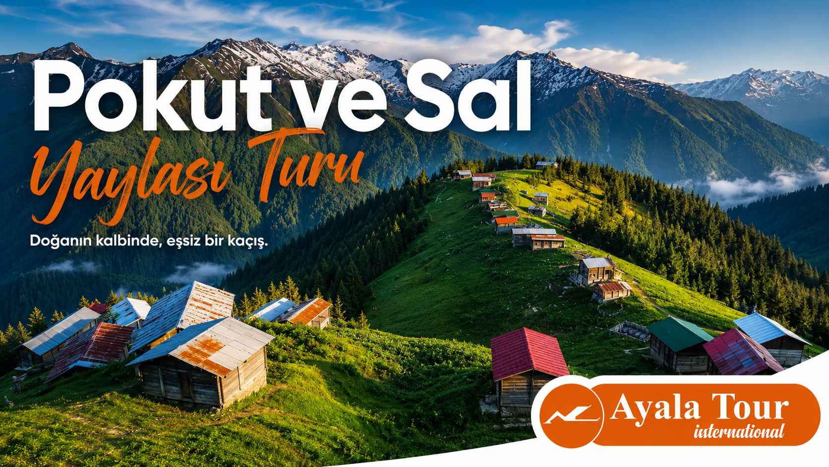Pokut ve Sal Yaylası Turu - Rize Yayla Turları kapsamında ziyaret edilen Pokut Yaylası ve Sal Yaylası