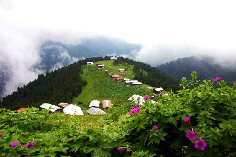 Rize çıkışlı Pokut Yaylası turu ve Karadeniz yayla manzarası