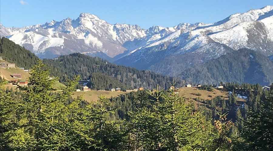 Pokut ve Sal Yaylası Turu - Rize Çıkışlı Günübirlik Karadeniz Yayla Turu | Ayala Tour International